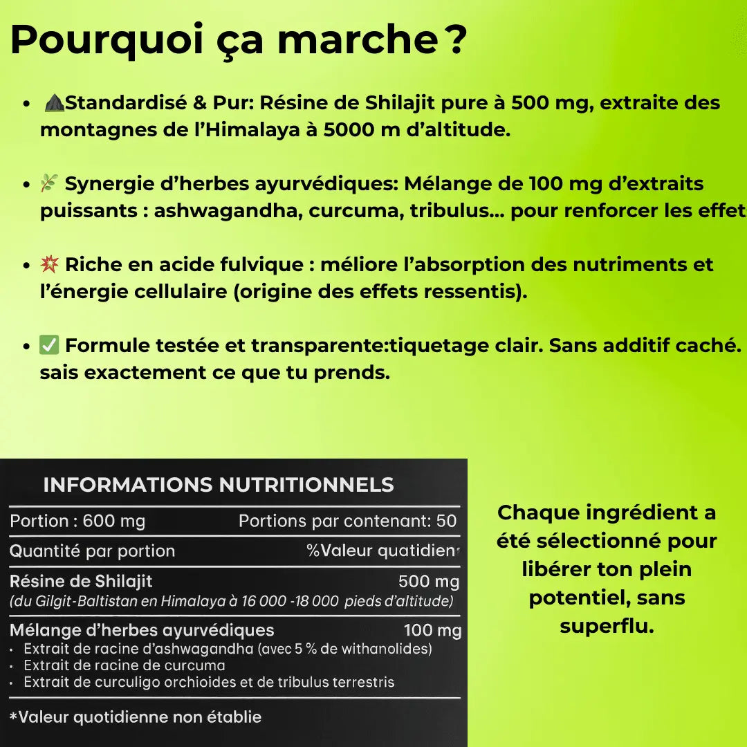 Shilajit– Énergie brute - nutri-strong